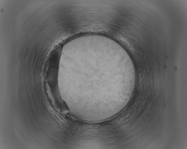 X0000087350680200705181127