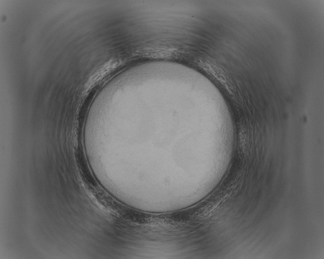 X0000087350682200705181127