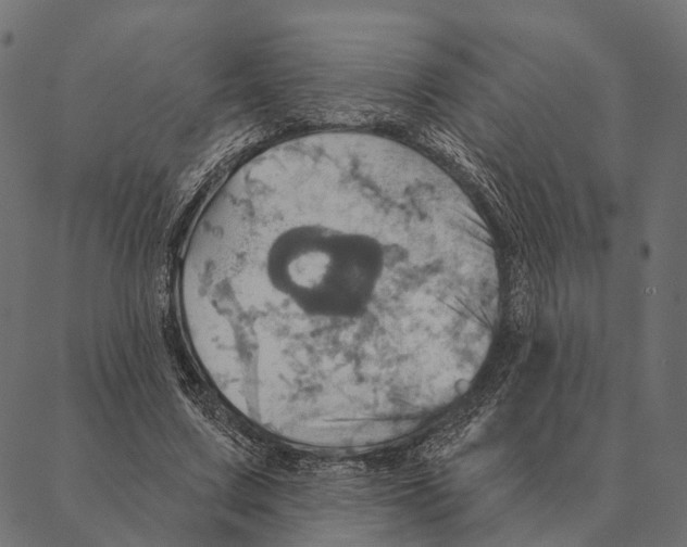 X0000087350683200705181127