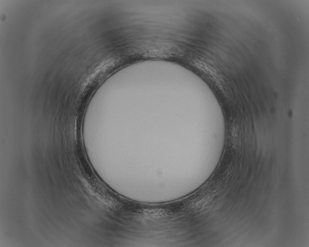 X0000087350686200705181127