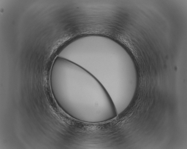 X0000087350688200705181127