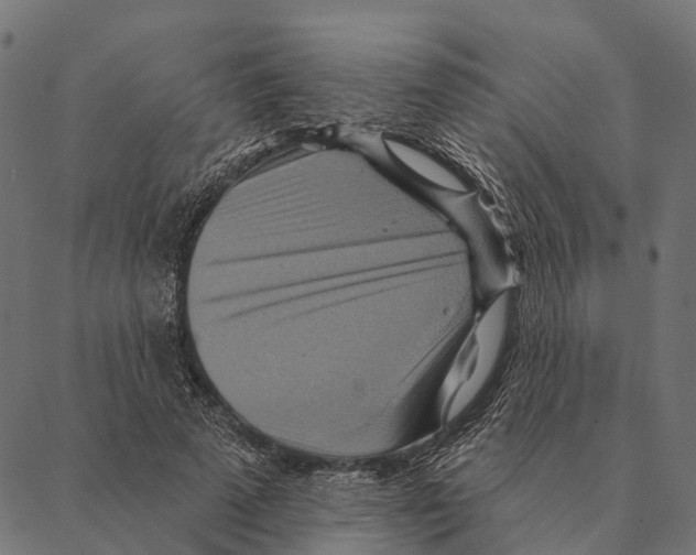 X0000087350689200705181127