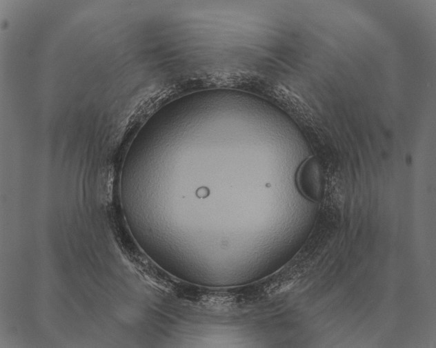 X0000087350694200705181127