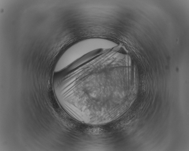 X0000087350695200705181127