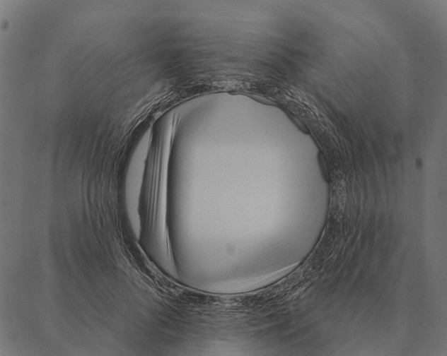 X0000087350696200705181127