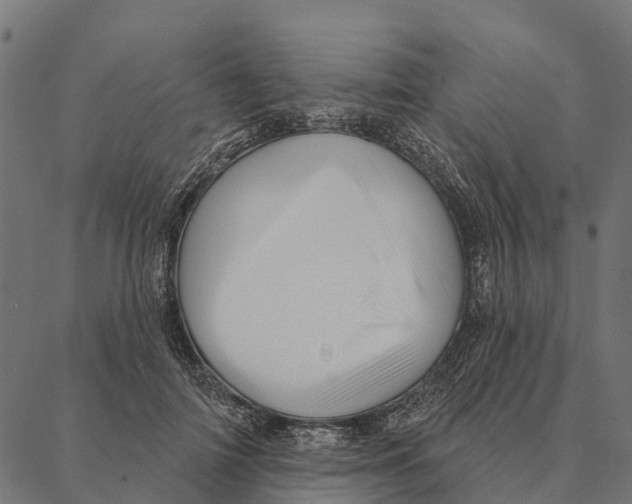 X0000087350698200705181127