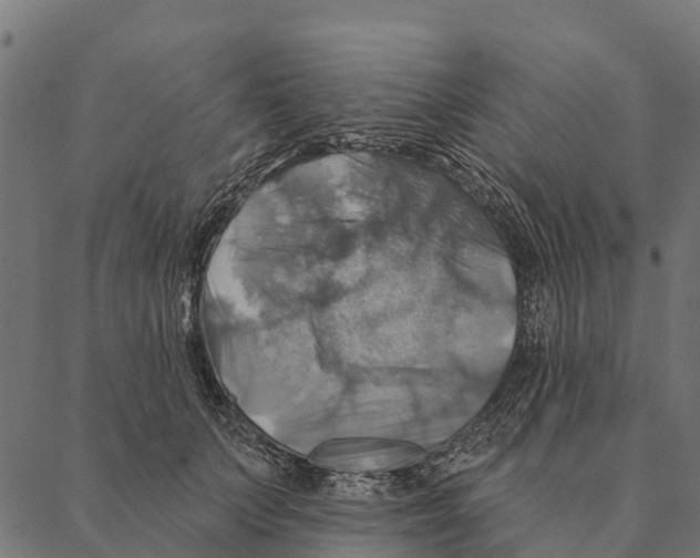 X0000087350703200705181126