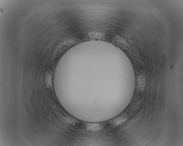 X0000087350705200705181126