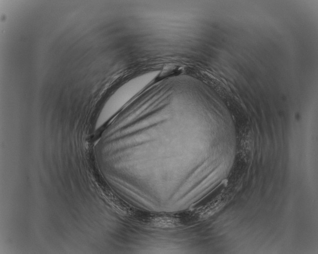 X0000087350708200705181126