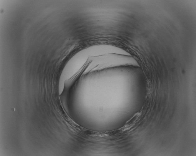 X0000087350712200705181126