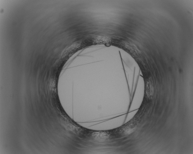 X0000087350714200705181126