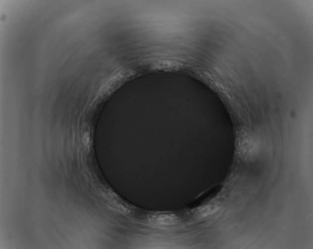 X0000087350716200705181126