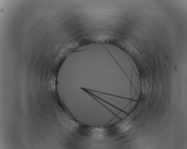 X0000087350718200705181126