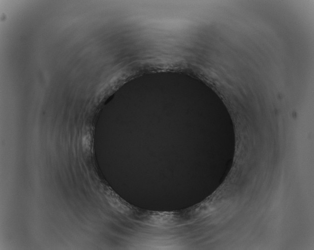 X0000087350720200705181126