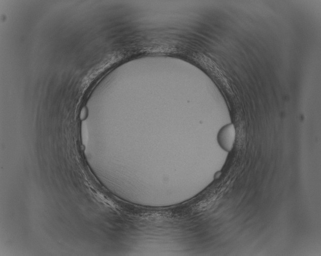 X0000087350721200705181125