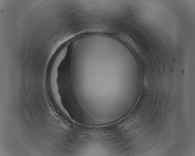 X0000087350724200705181125