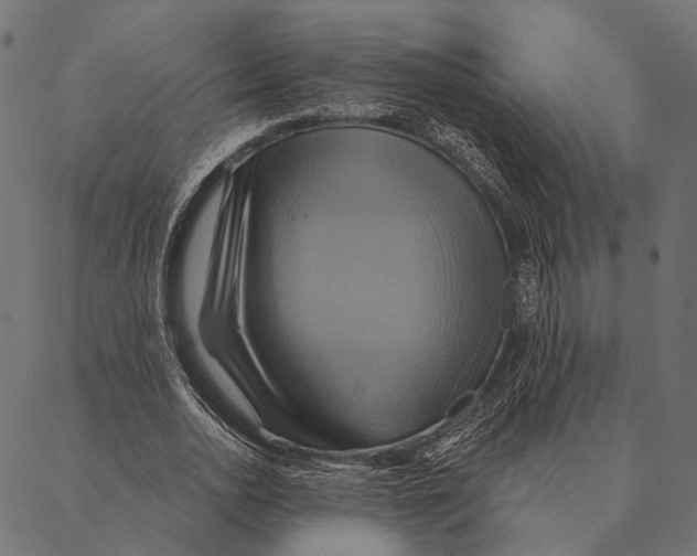 X0000087350726200705181126