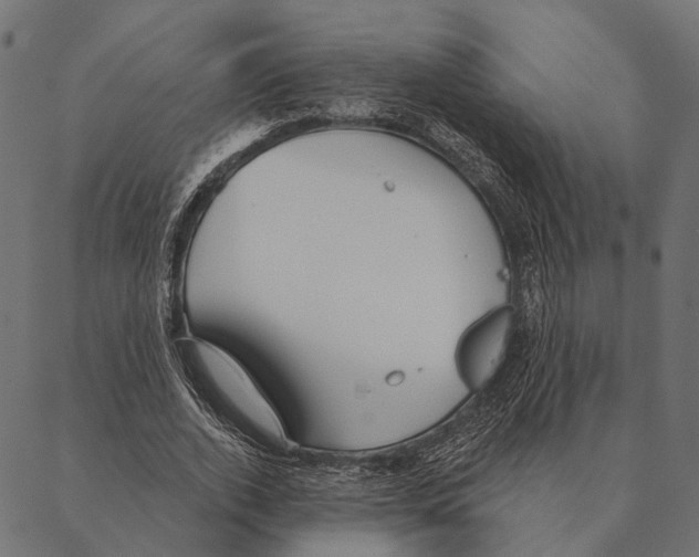 X0000087350728200705181126