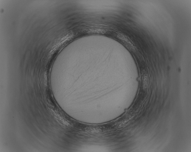 X0000087350729200705181126