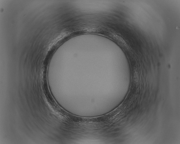 X0000087350730200705181126