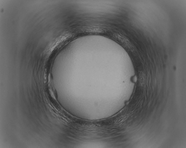 X0000087350731200705181126