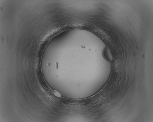 X0000087350732200705181126