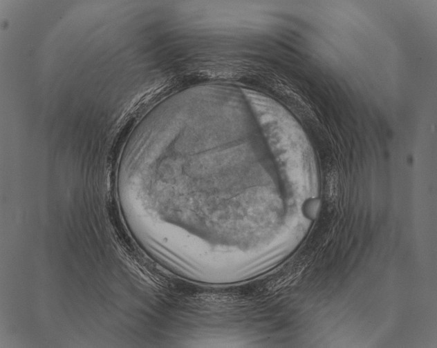 X0000087350733200705181126