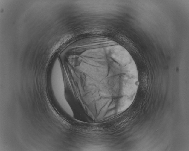 X0000087350734200705181126