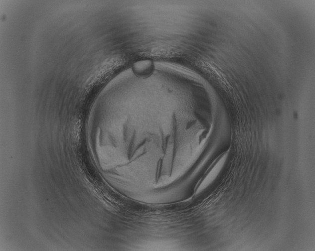 X0000087350735200705181126