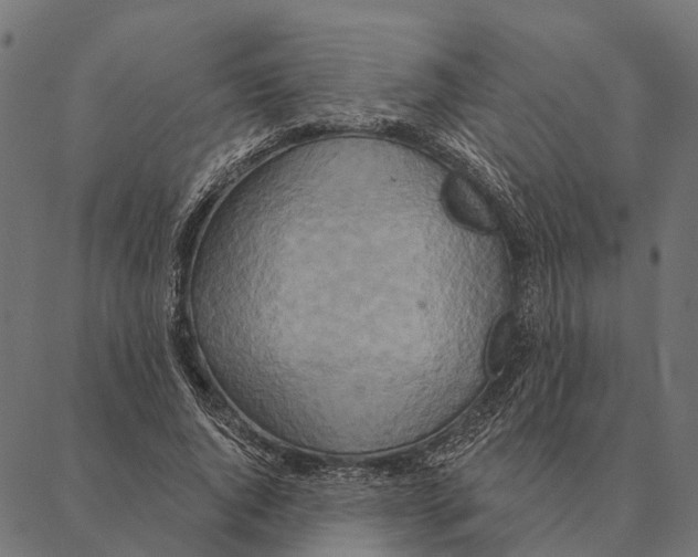 X0000087350736200705181126