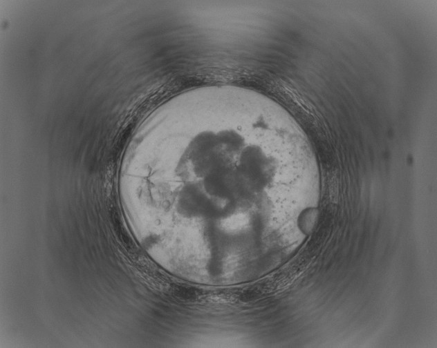 X0000087350737200705181126