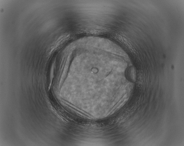 X0000087350738200705181126