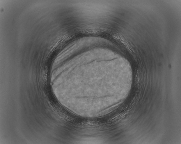 X0000087350739200705181126