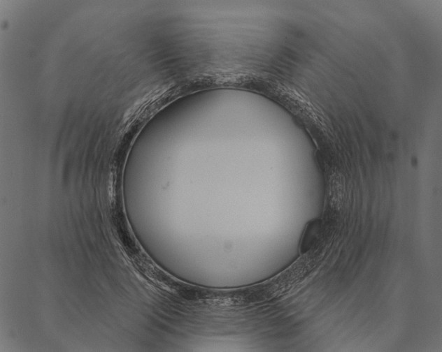 X0000087350740200705181126