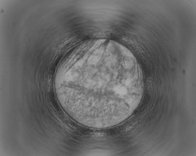 X0000087350741200705181126