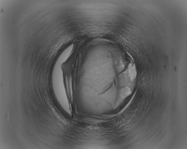 X0000087350742200705181126