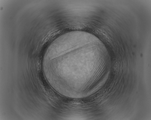 X0000087350743200705181126