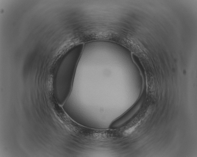 X0000087350744200705181126