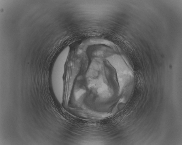 X0000087350745200705181126