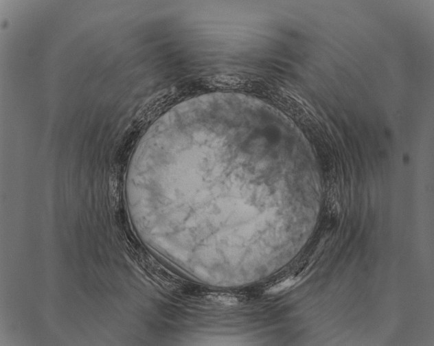 X0000087350749200705181126