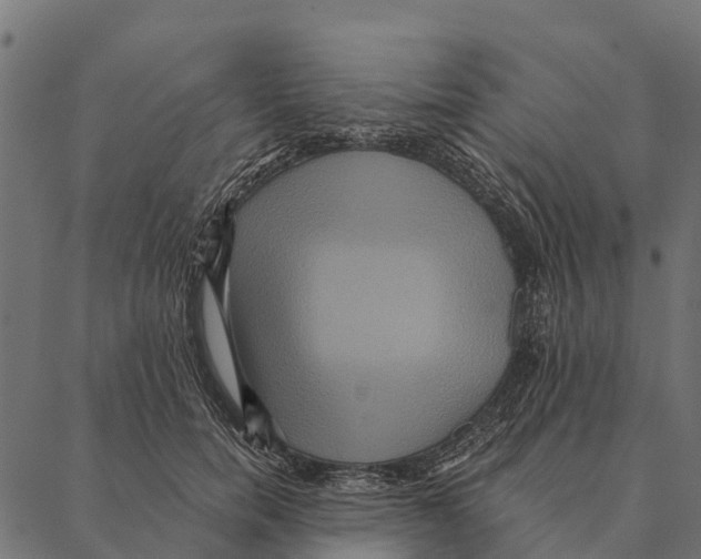 X0000087350750200705181126