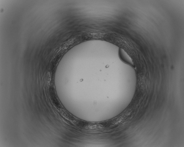 X0000087350752200705181126