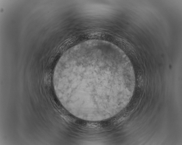 X0000087350753200705181126