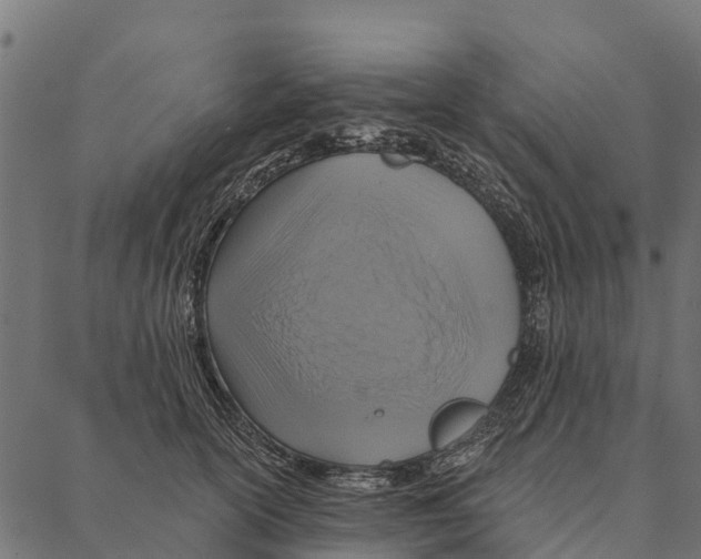 X0000087350754200705181126