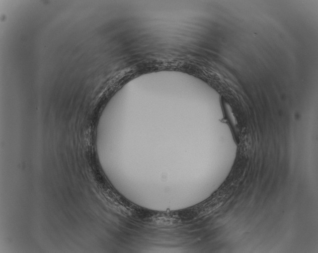 X0000087350756200705181126