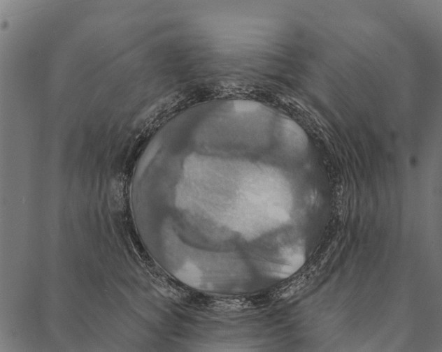 X0000087350757200705181126