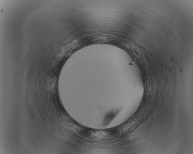 X0000087350759200705181126