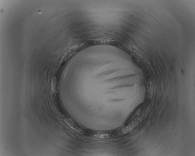 X0000087350760200705181126