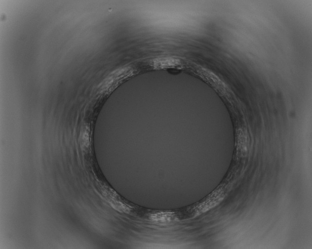 X0000087350761200705181126