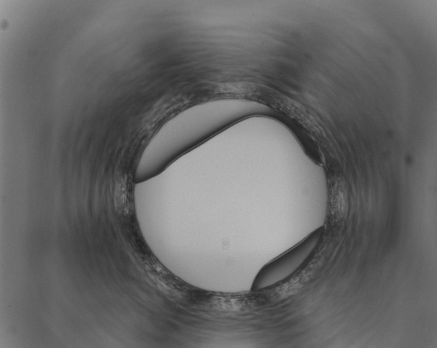 X0000087350764200705181126